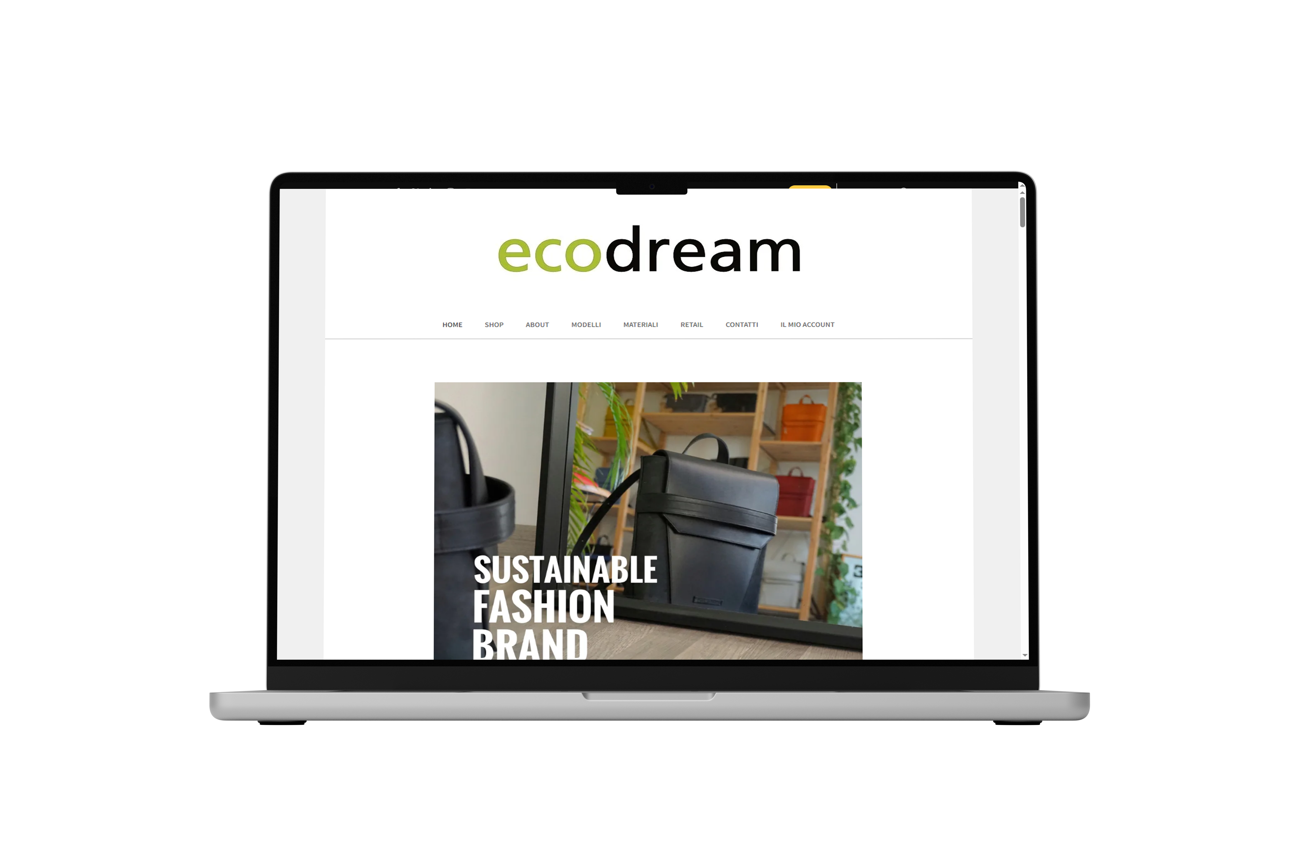 Wireframe Ecodream